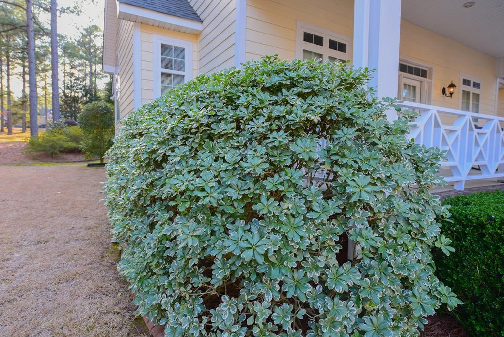 1008 HuntersCreek Boulevard