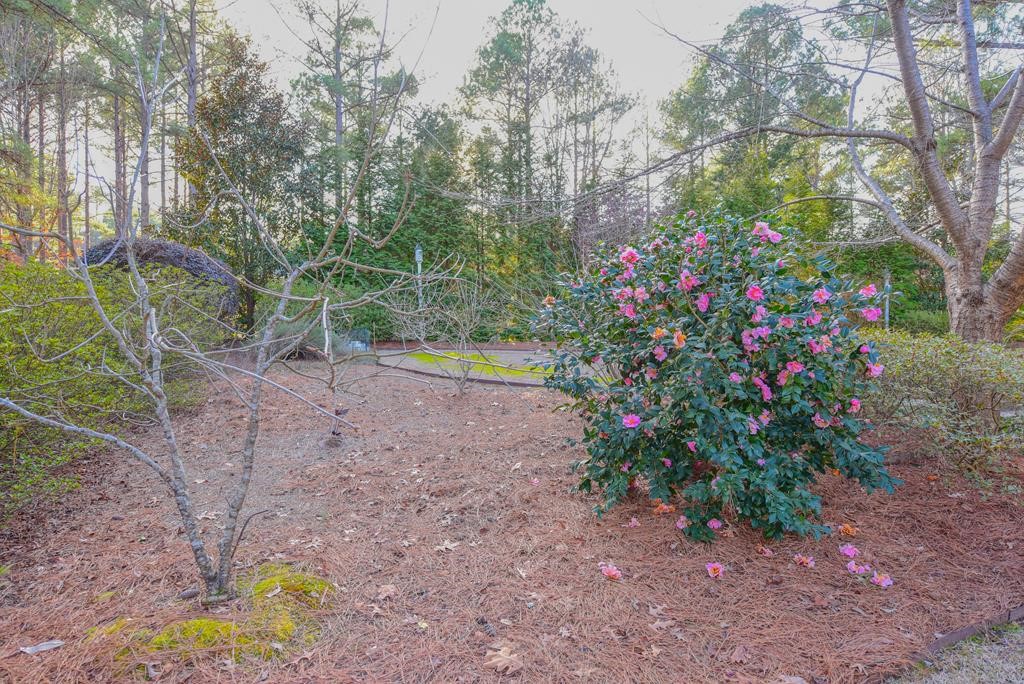 1008 HuntersCreek Boulevard