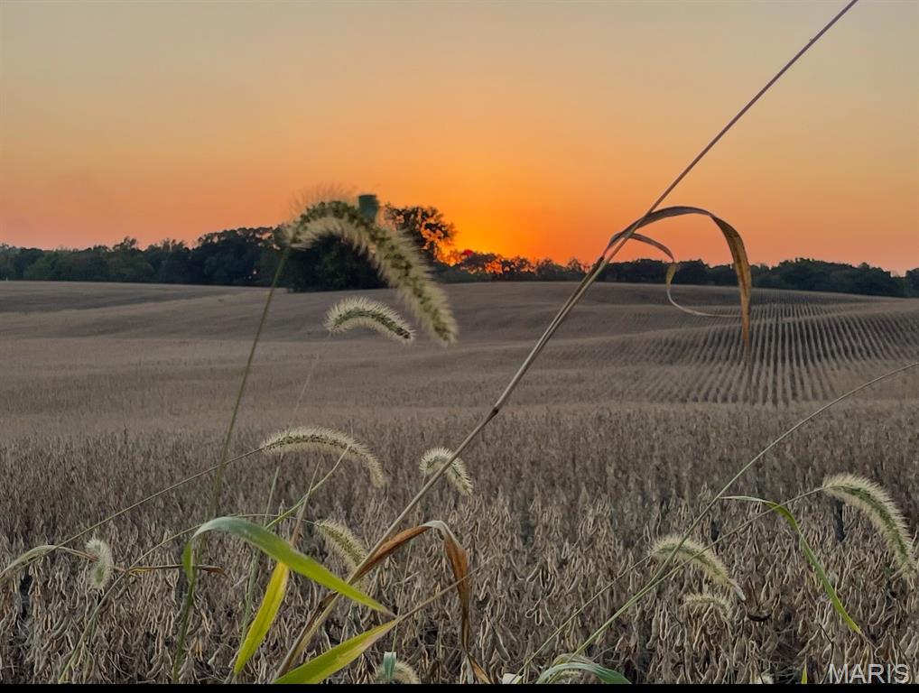 2424 Trout Camp Road