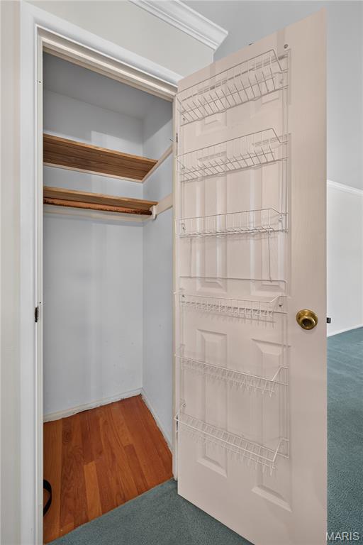 11119 Flori Drive