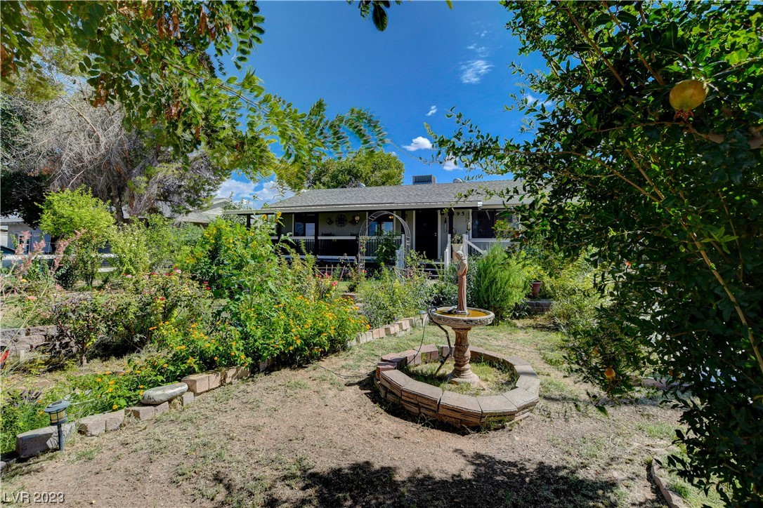 1595 Cappalappa Avenue