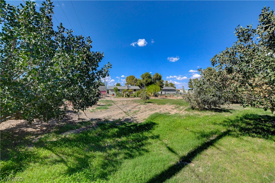 1595 Cappalappa Avenue