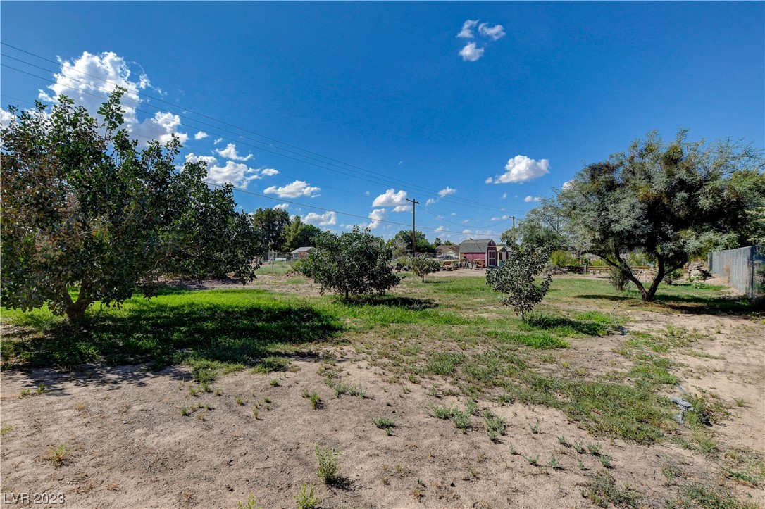 1595 Cappalappa Avenue