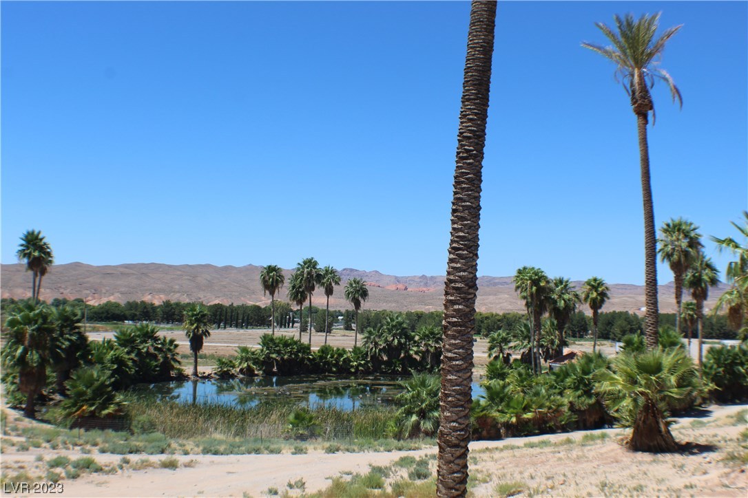 1112 Thomas Bay Circle