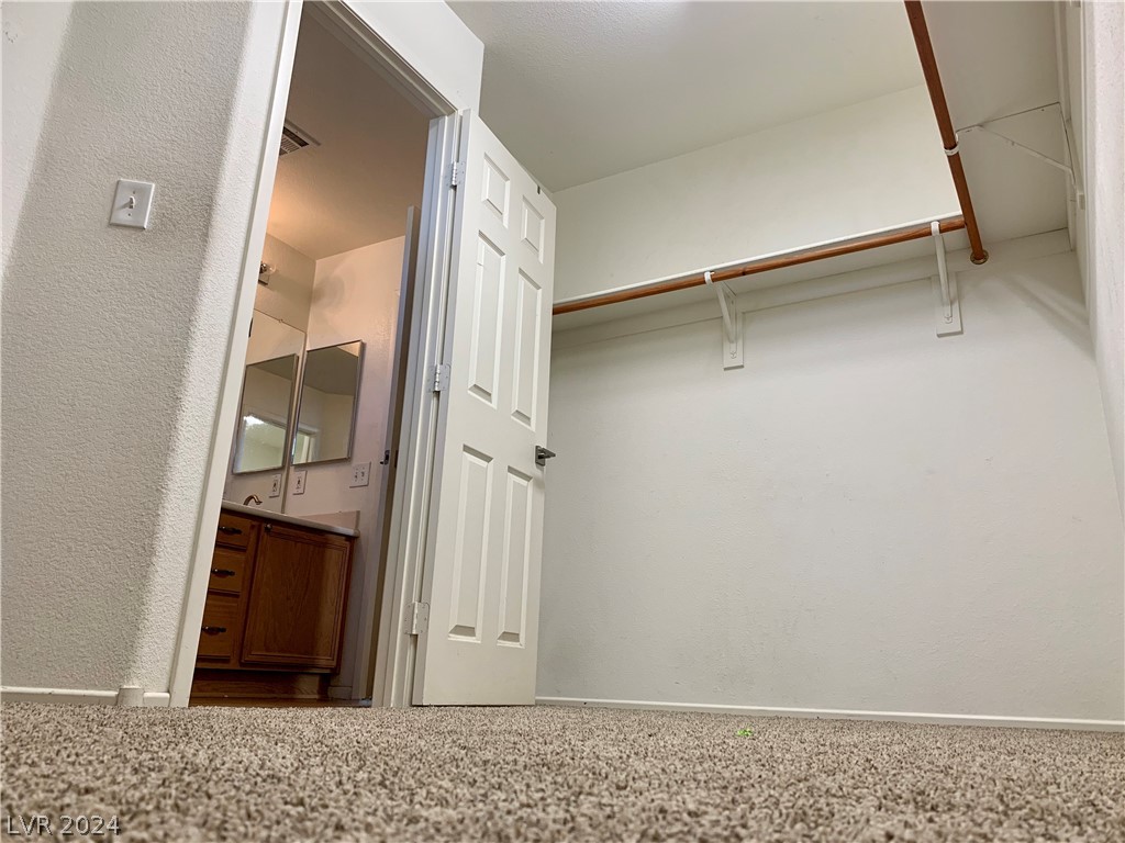 11739 Bella Luna Street