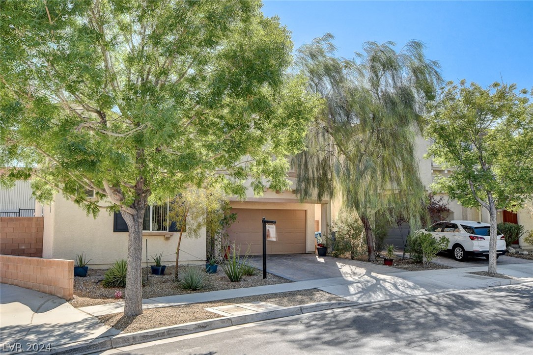 7443 Crooked Branch Street