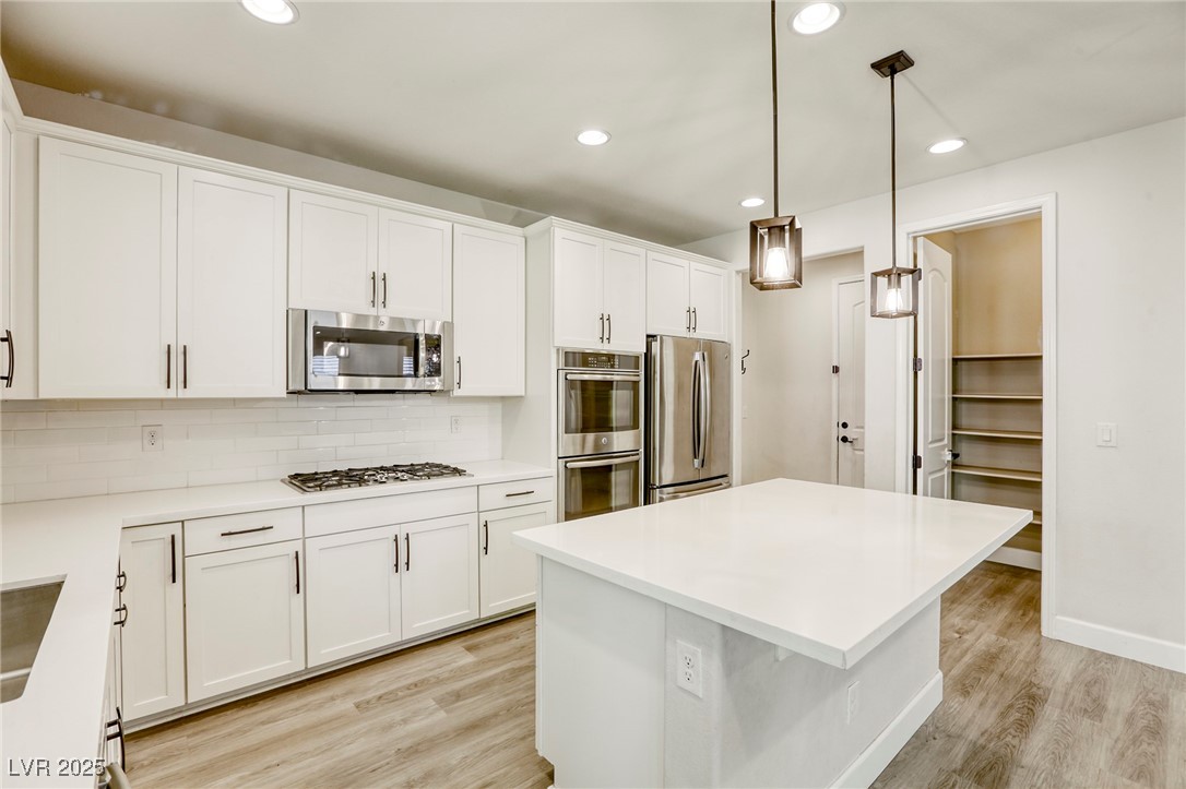 10164 Phelps Lake Court