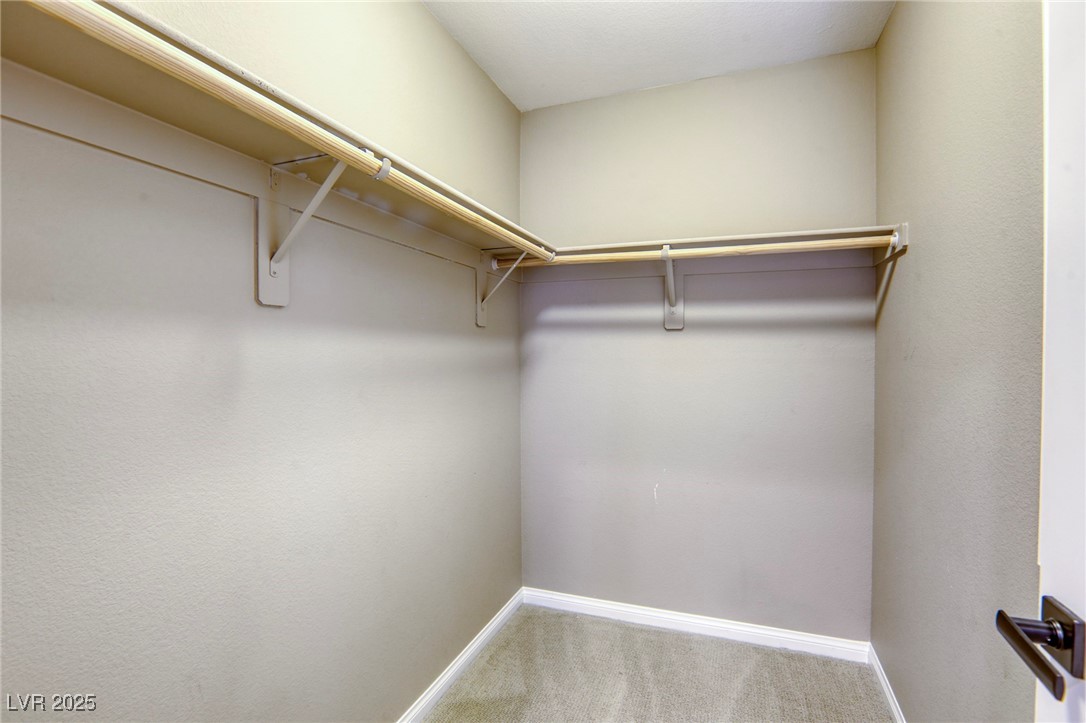 10164 Phelps Lake Court