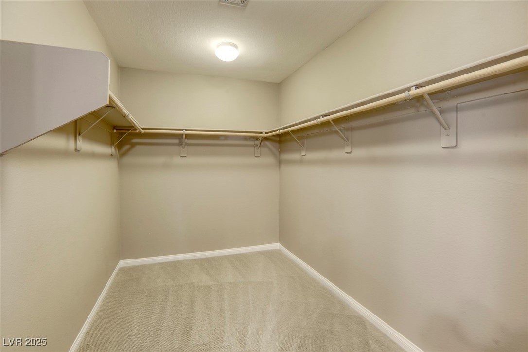 10164 Phelps Lake Court