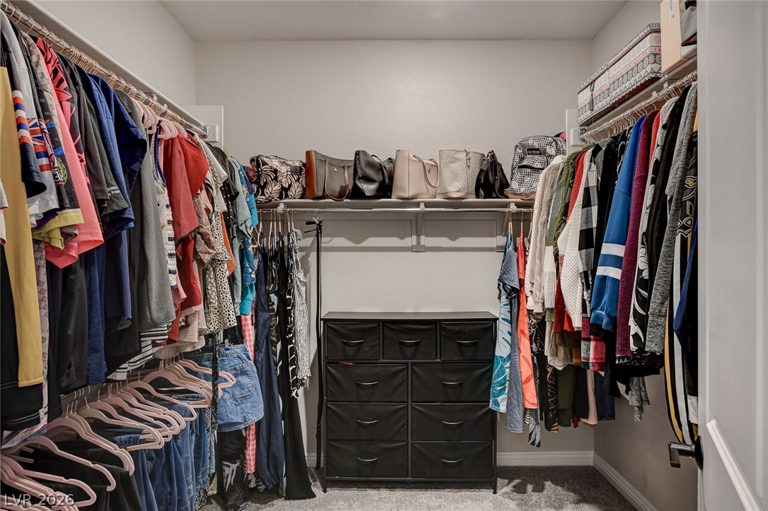 10287 Magnolia Creek Street