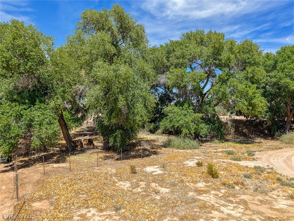 1920 Bowman Road