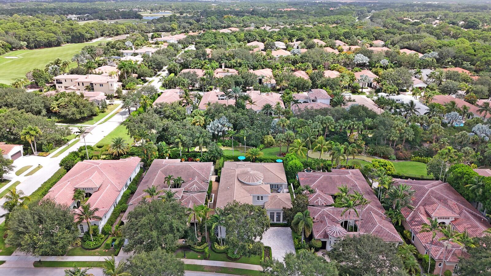 11205 Orange Hibiscus Lane