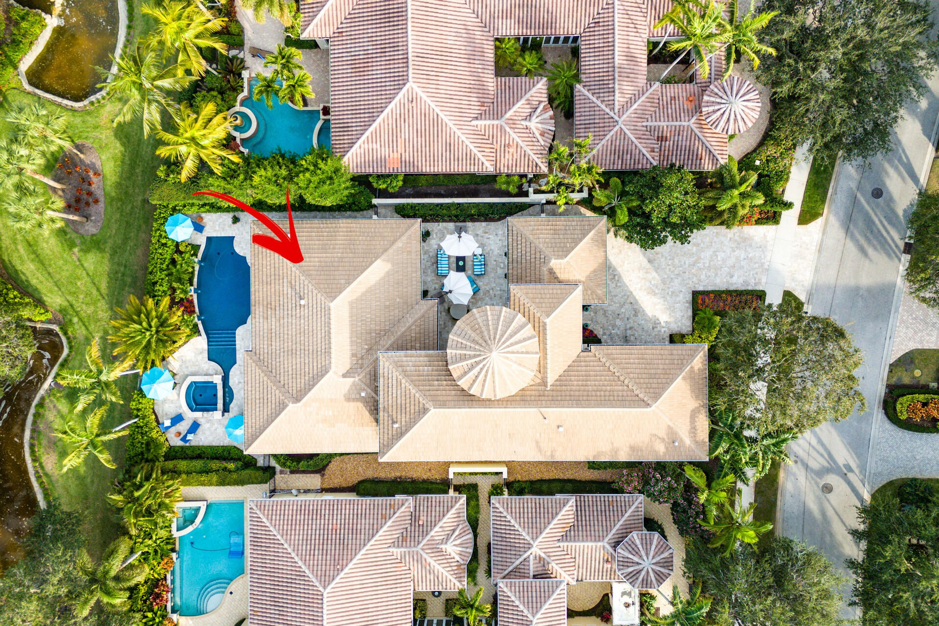 11205 Orange Hibiscus Lane