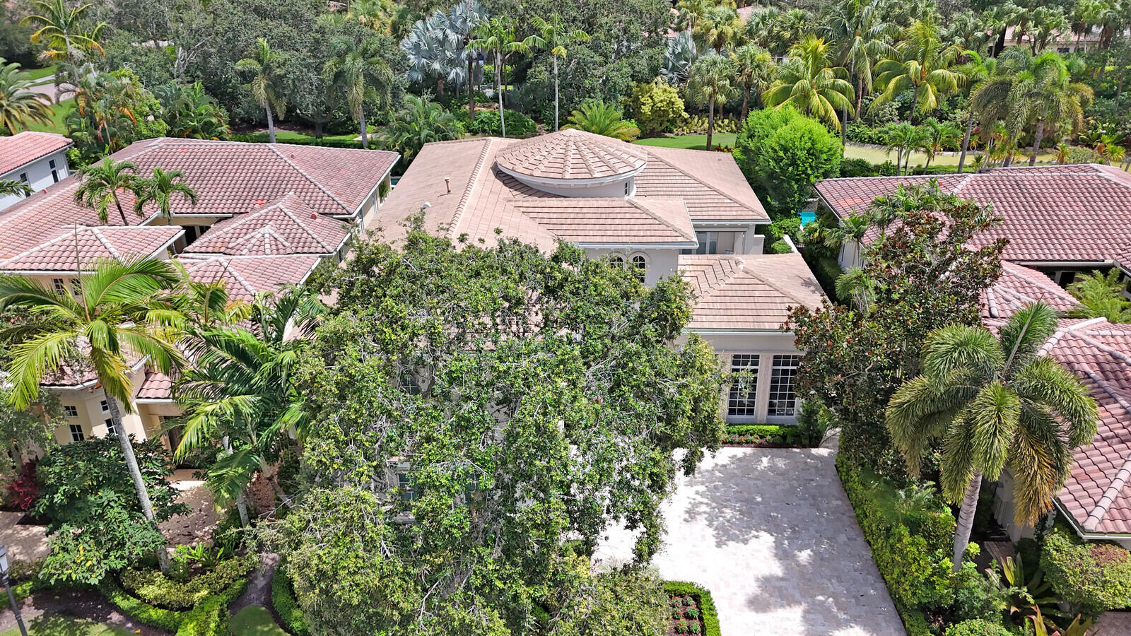 11205 Orange Hibiscus Lane