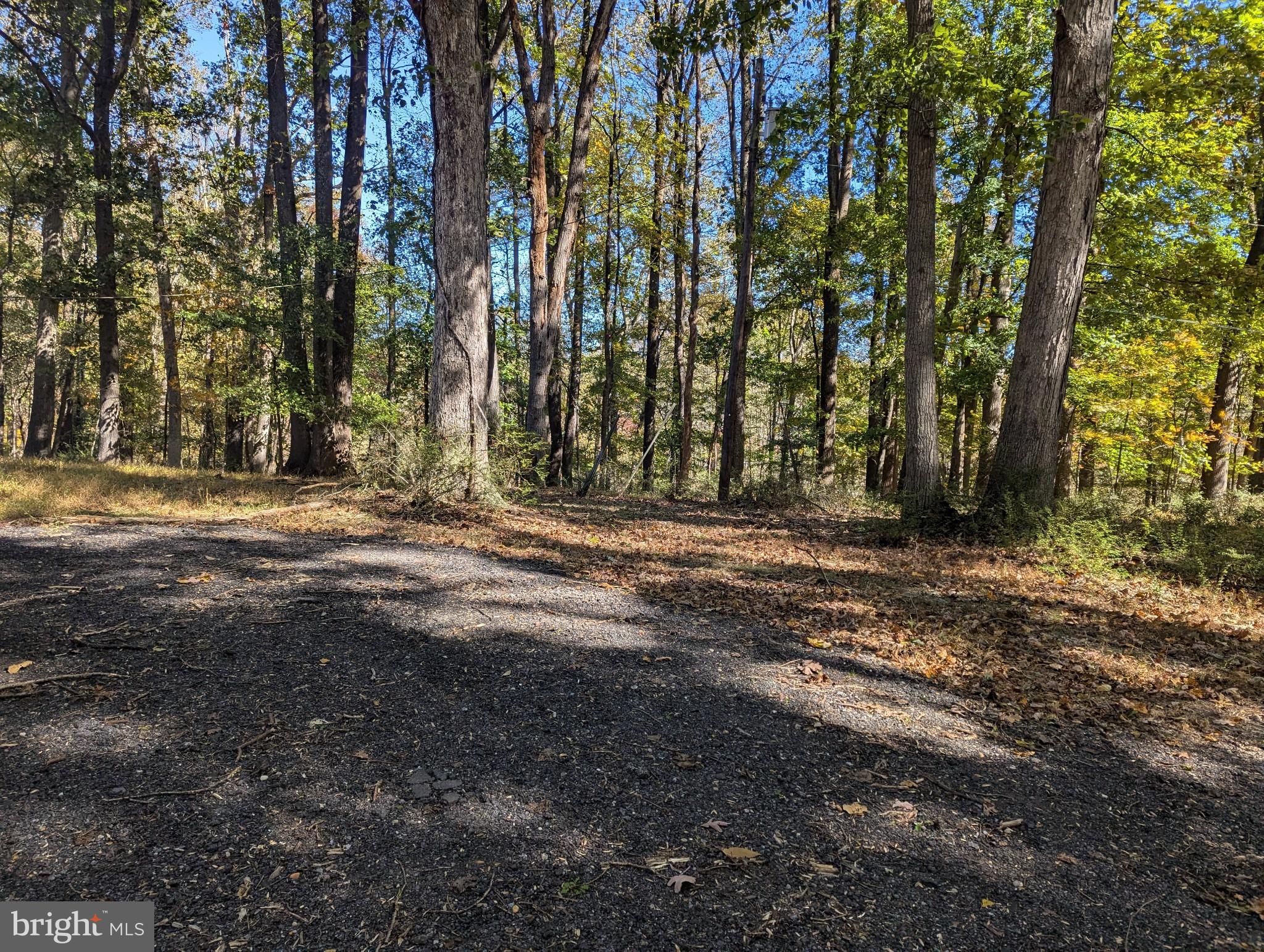24320 Woodfield School Rd