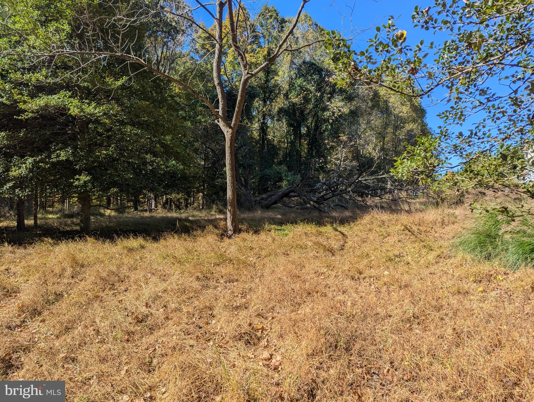 24320 Woodfield School Rd