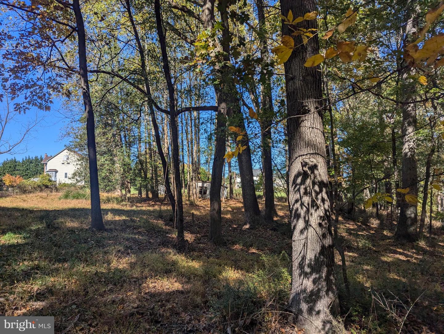 24320 Woodfield School Rd