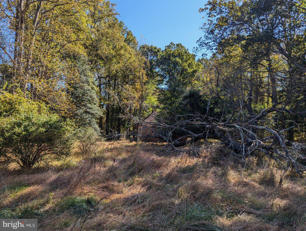 24320 Woodfield School Rd