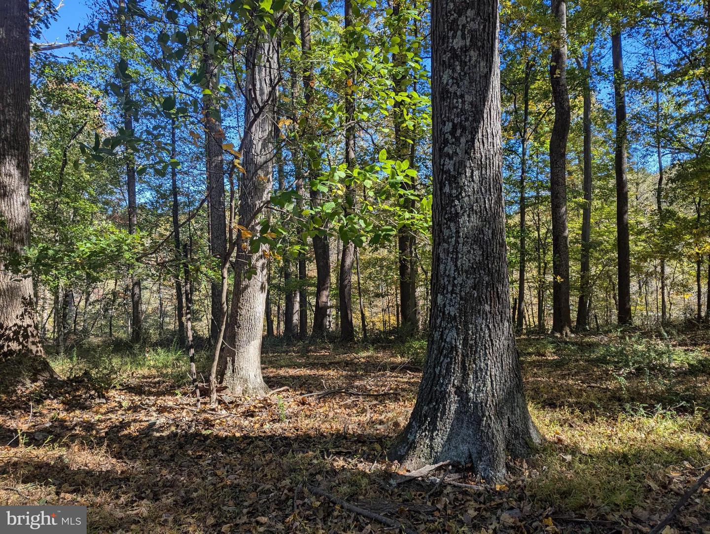 24320 Woodfield School Rd
