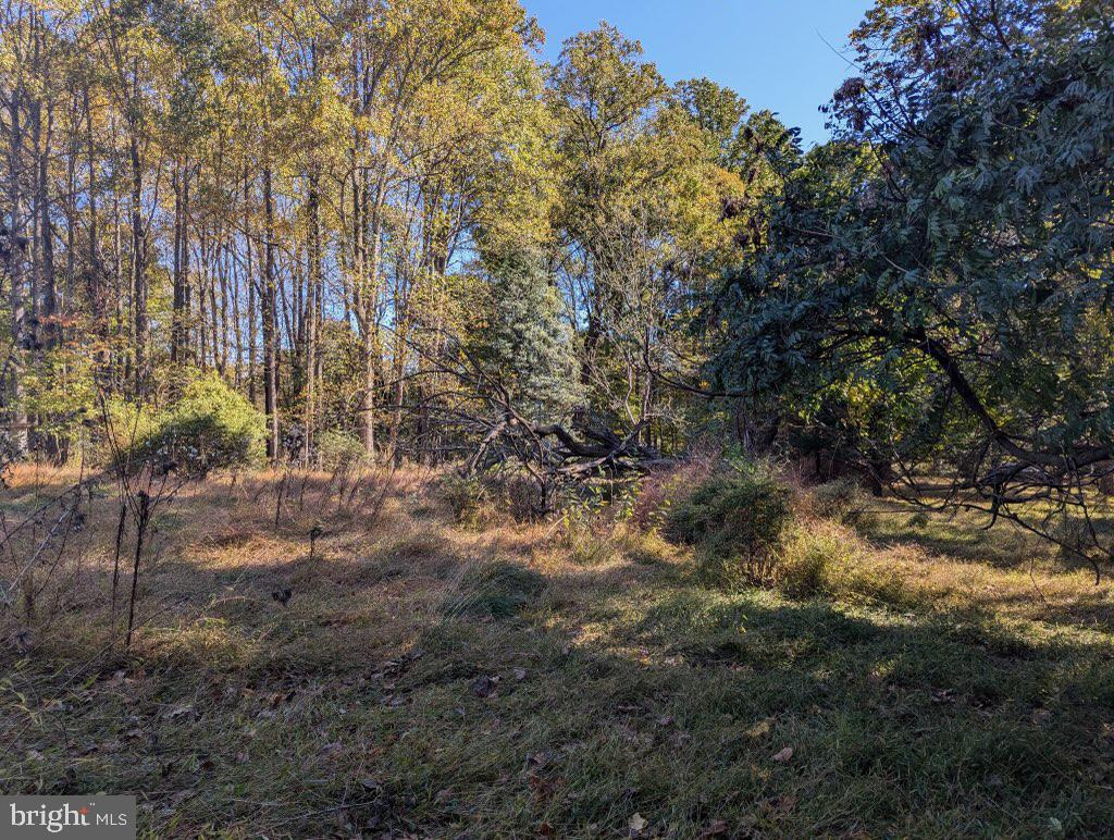 24320 Woodfield School Rd