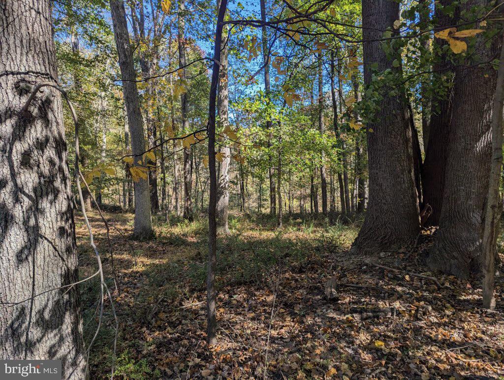 24320 Woodfield School Rd