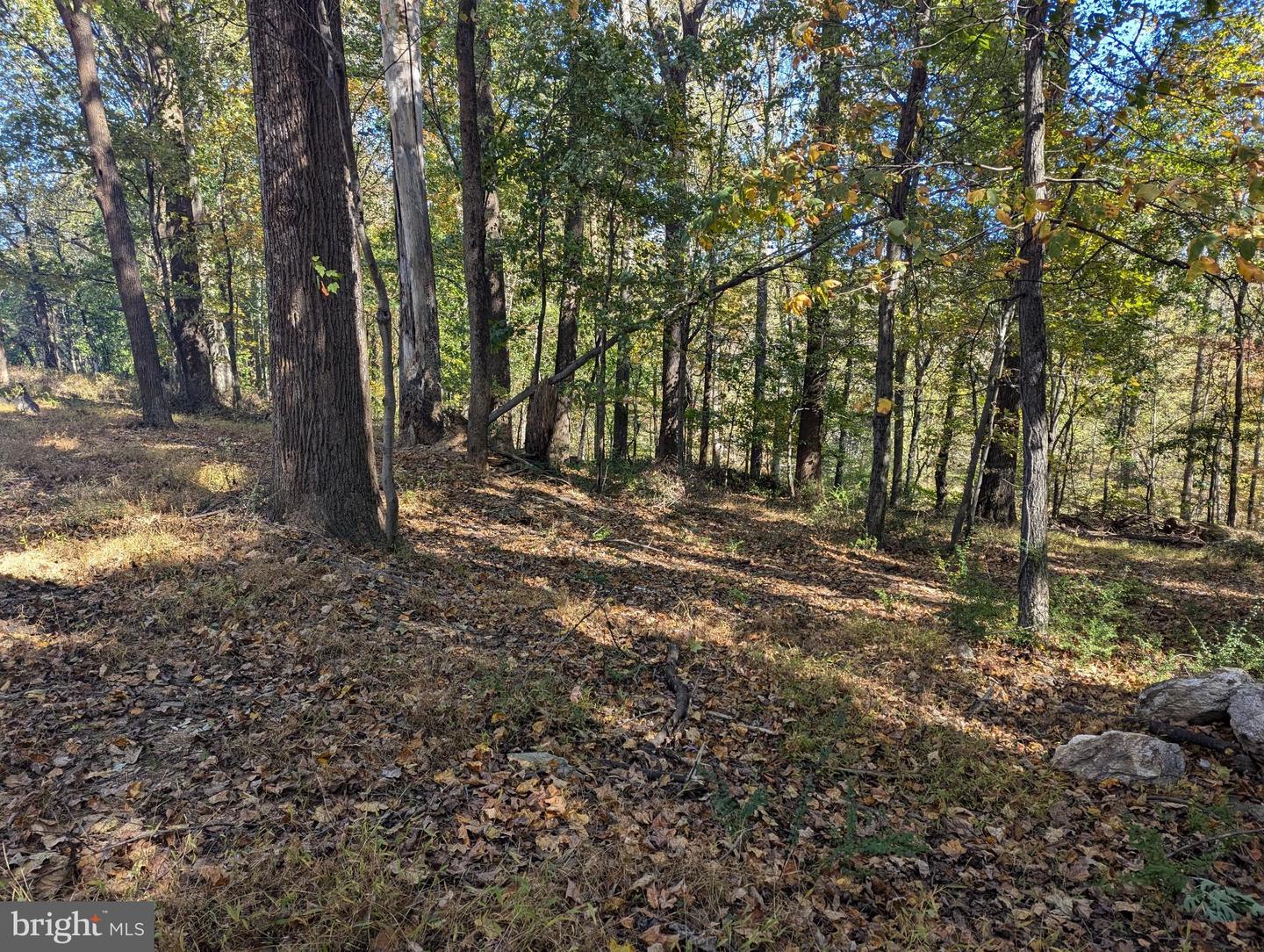 24320 Woodfield School Rd