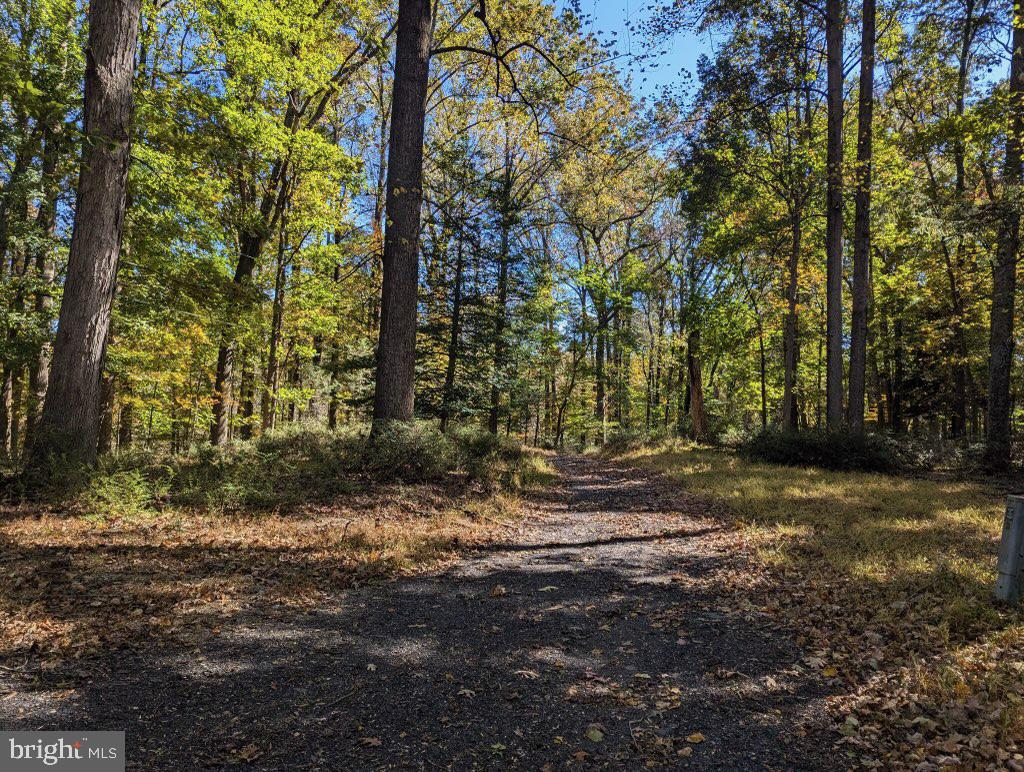 24320 Woodfield School Rd