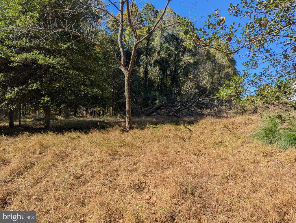 24320 Woodfield School Rd