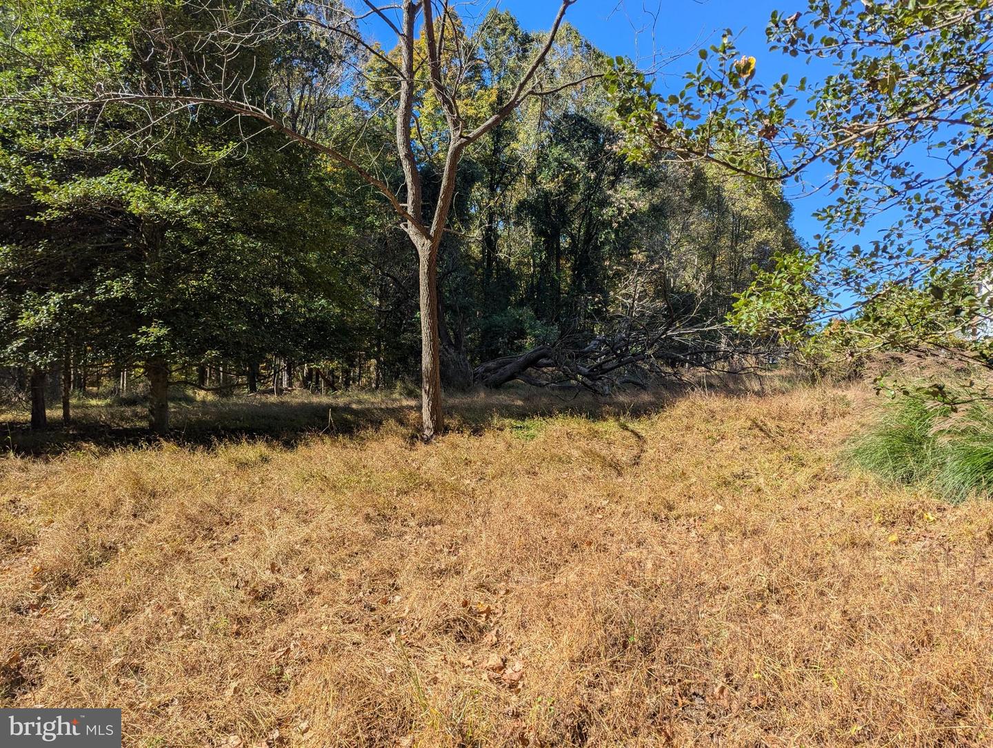 24320 Woodfield School Rd