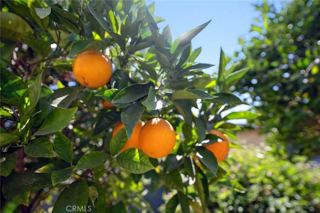 6451 Riverton Avenue