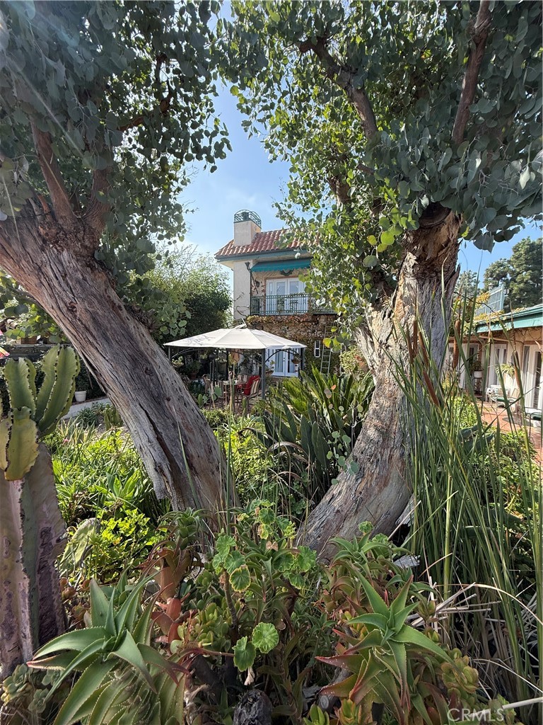 2515 Crest View ADU #3