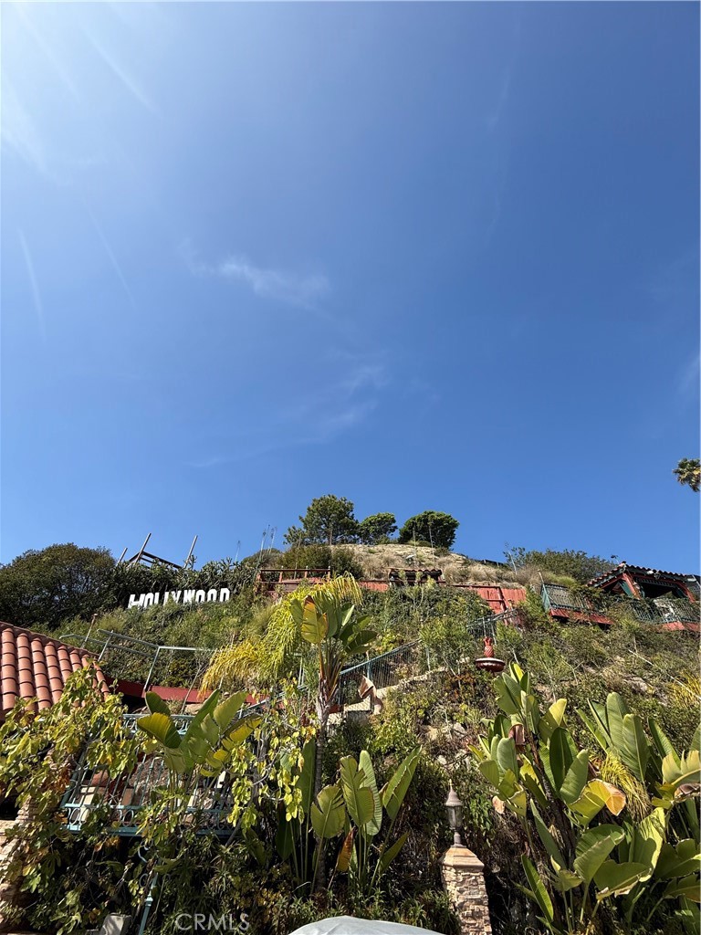 2515 Crest View ADU #3