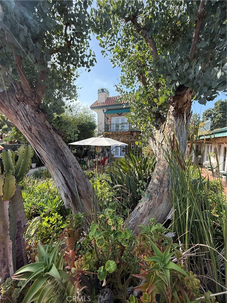 2515 Crest View ADU #3