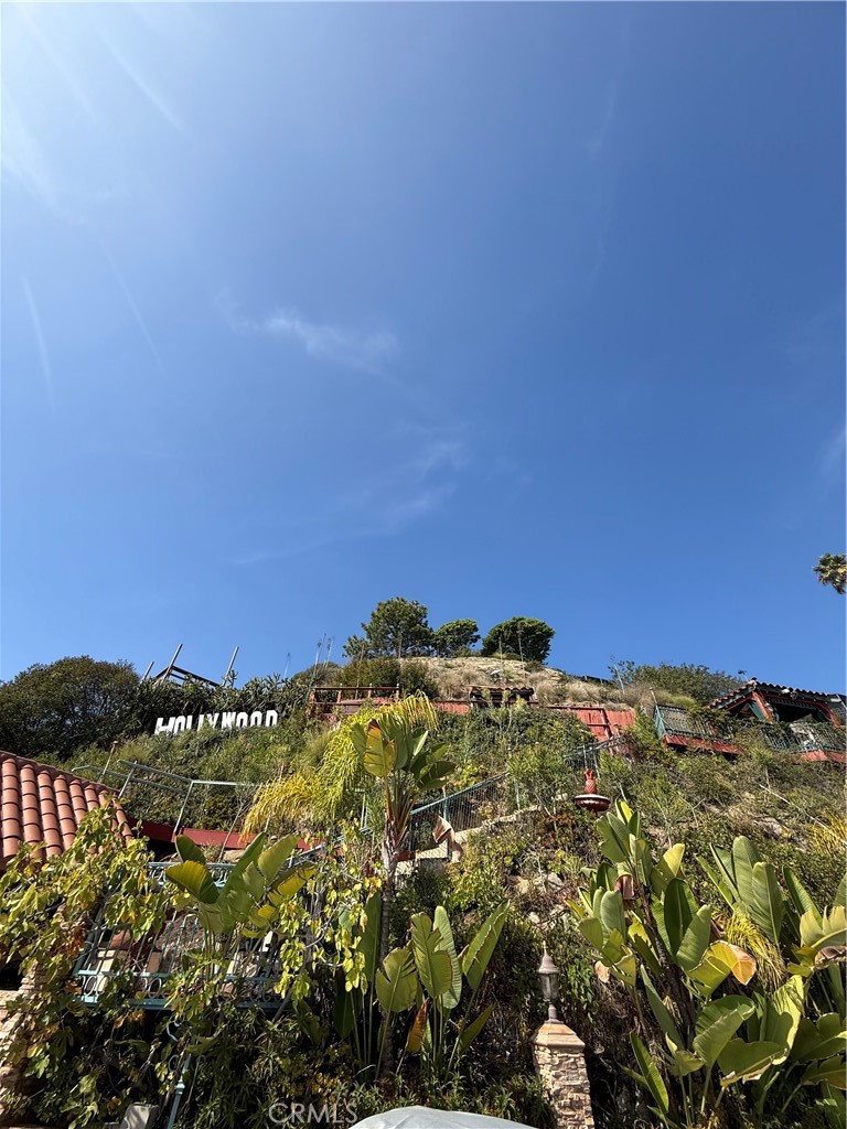 2515 Crest View ADU #3