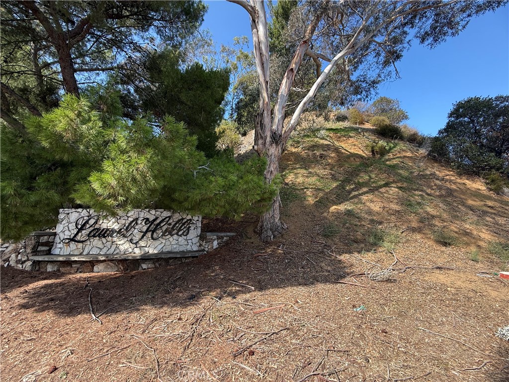 2515 Crest View ADU #3