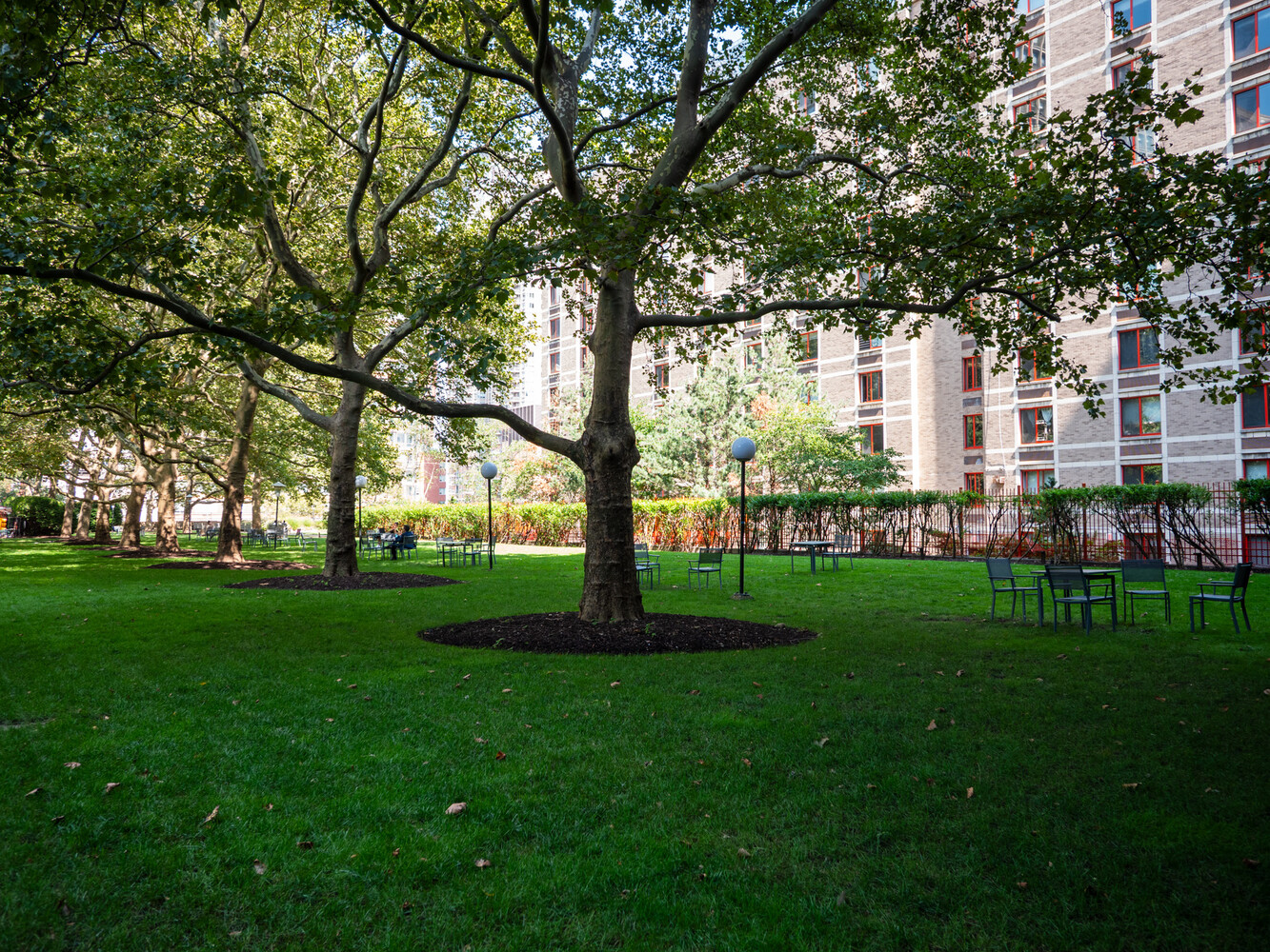 330 E 33RD Street 3N