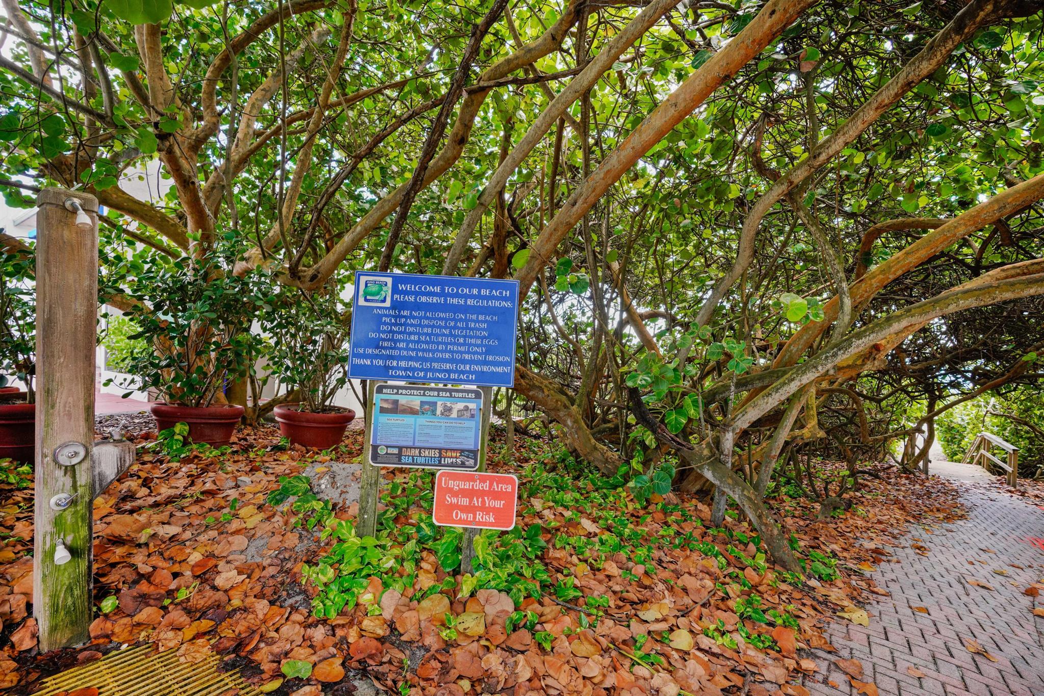 911 Ocean Drive #506