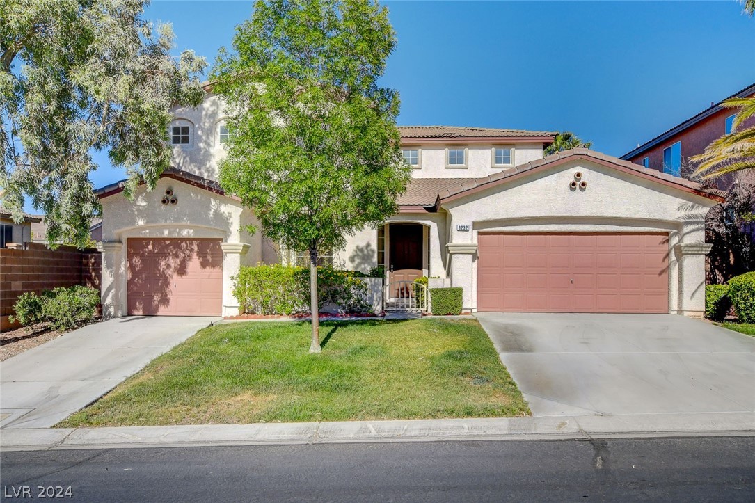 3232 Bishop Pine Street