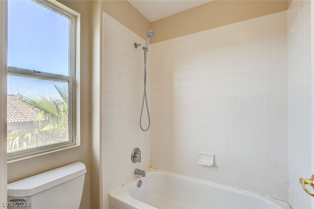 3232 Bishop Pine Street