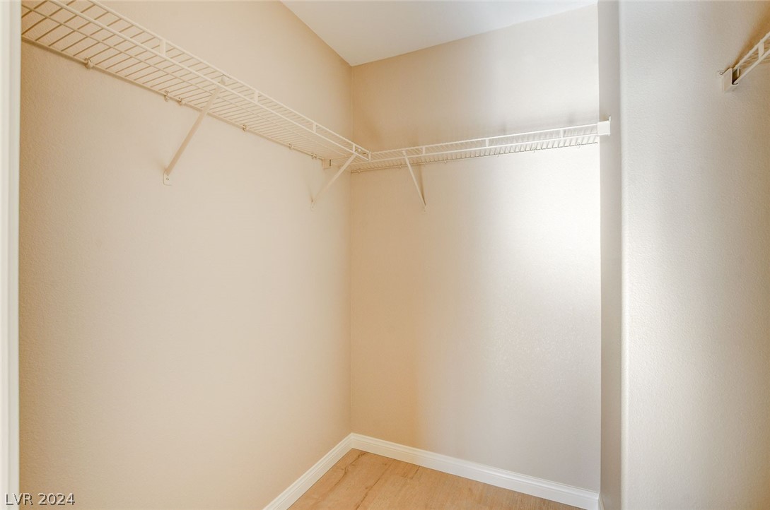 3232 Bishop Pine Street