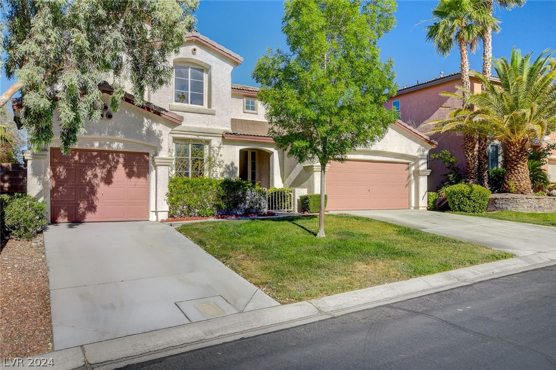 3232 Bishop Pine Street