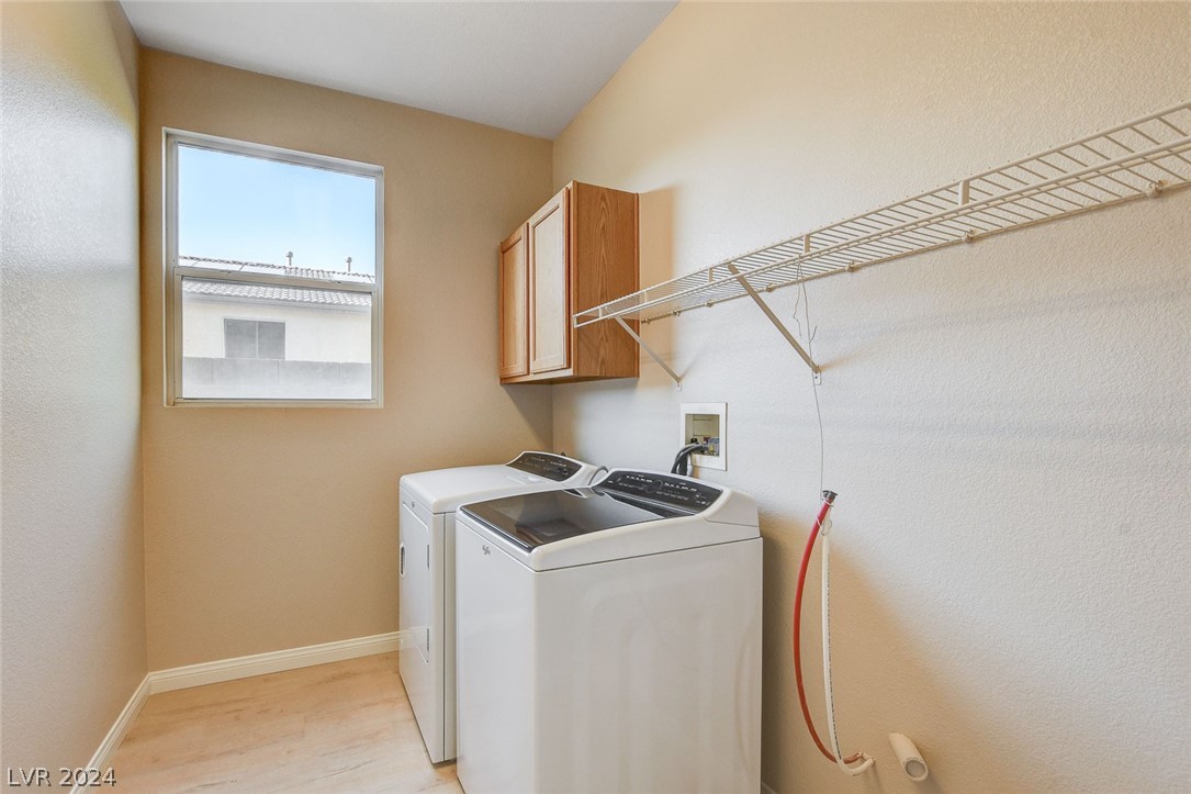 3232 Bishop Pine Street