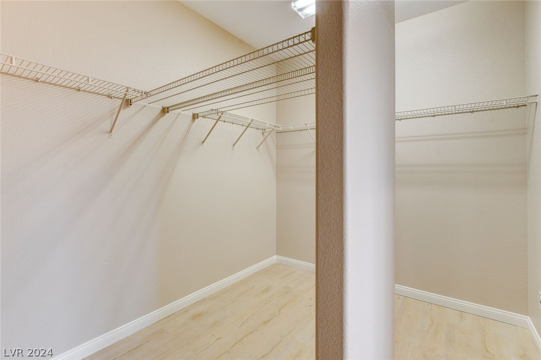 3232 Bishop Pine Street