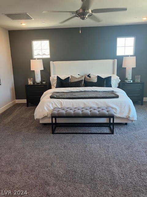 10945 Sageview Avenue lot 209