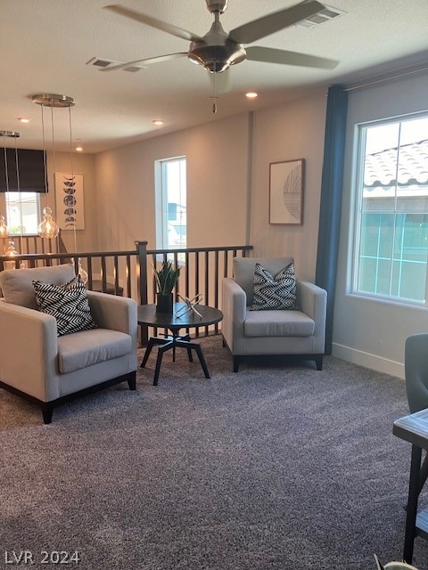 10945 Sageview Avenue lot 209