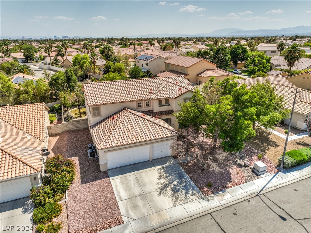 1217 Big Tree Avenue