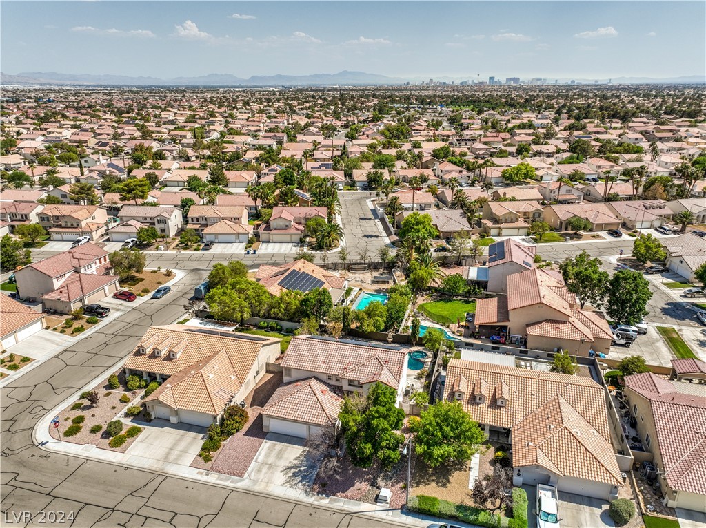 1217 Big Tree Avenue