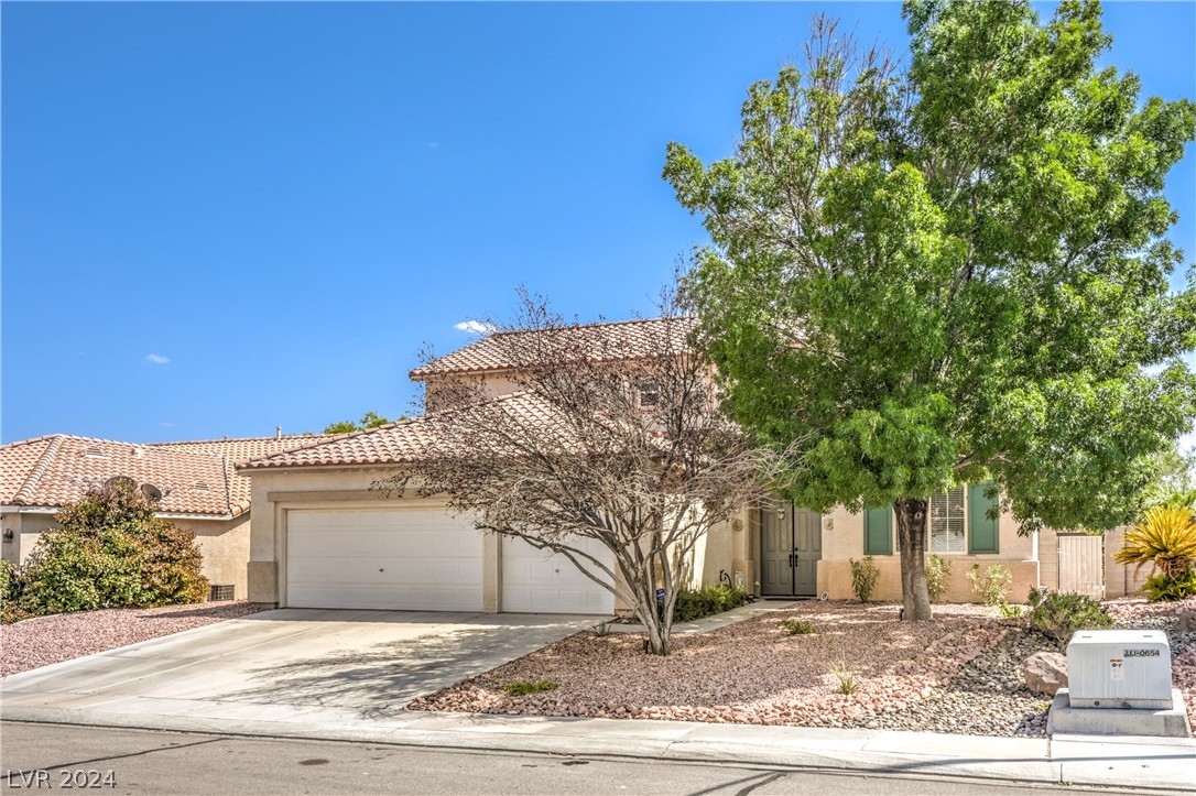 1217 Big Tree Avenue