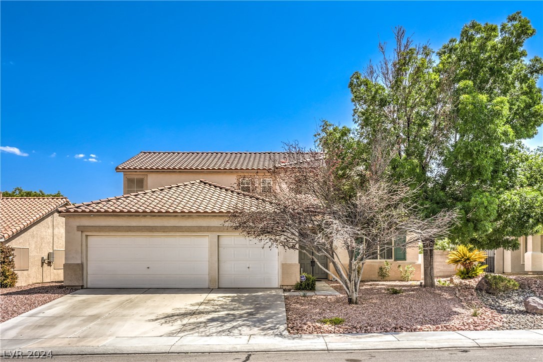 1217 Big Tree Avenue