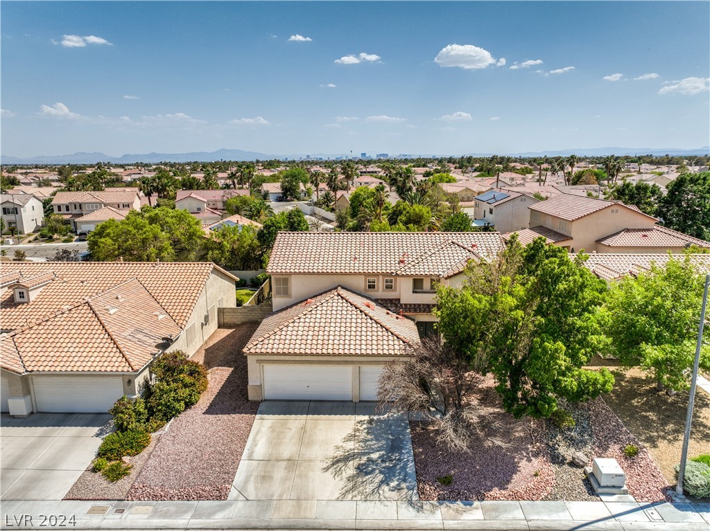 1217 Big Tree Avenue